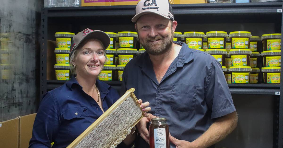 Queensland beekeepers frustrated by lack of varroa information