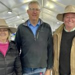 Restockers creeping back into the cattle market