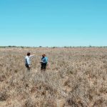 Barley crop set to get top price due to a shortage of cattle feed | Queensland Country Life