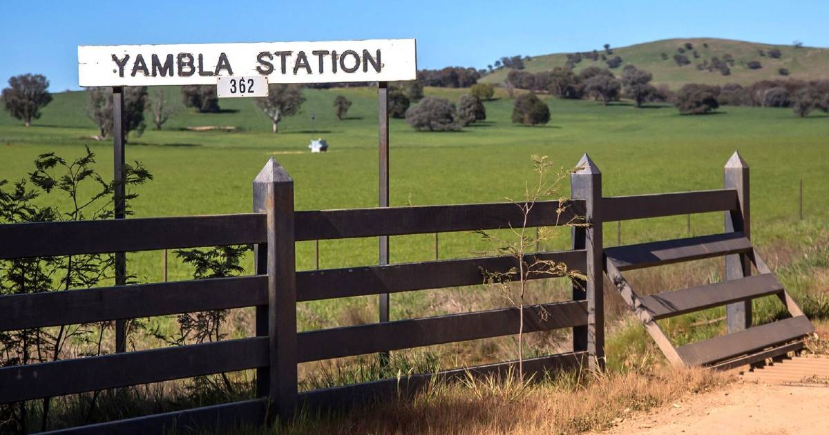 Big selling price for Satchell's Yambla Station in the Riverina