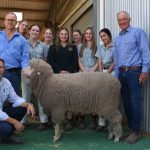 Big crowd at Capree as wool quality and working dogs sought after