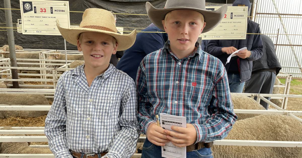 Boorowa's weather spot on for a social day at Merrignee sale