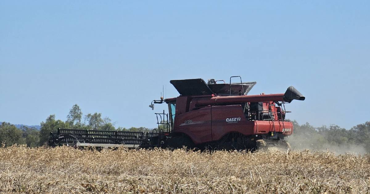 Central Queensland combine harvester sales up as harvest kicks on