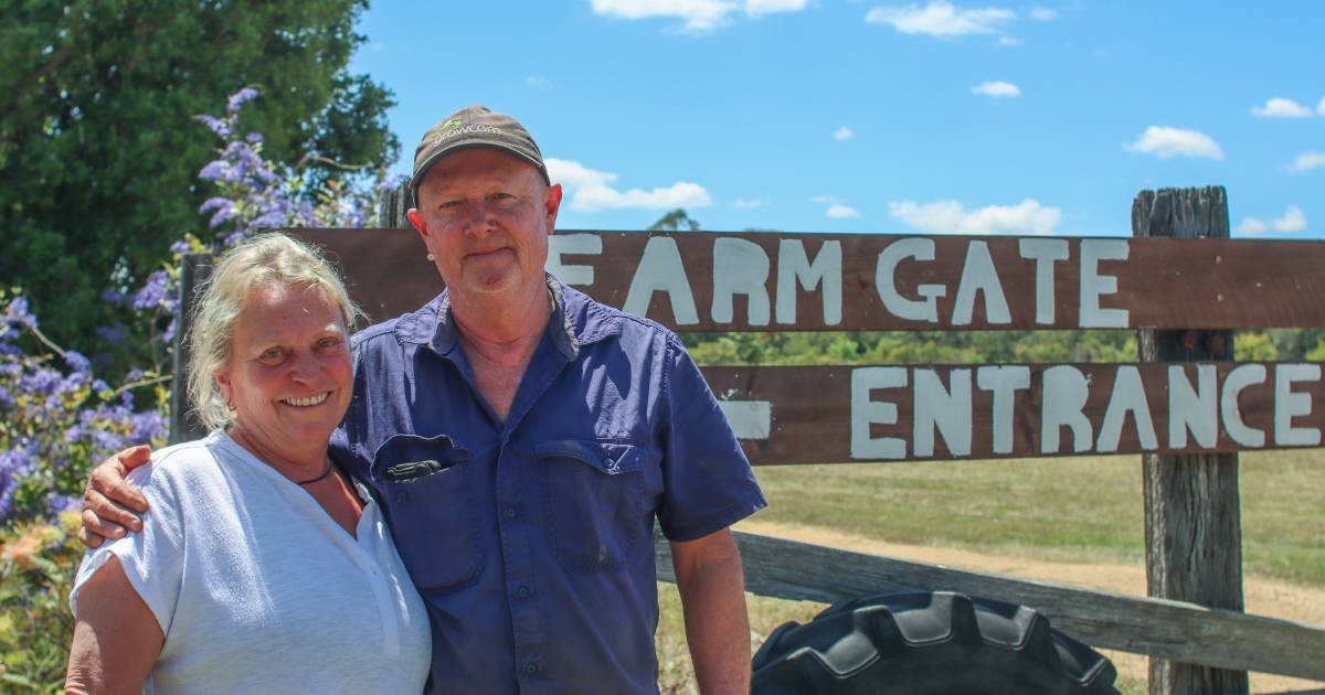 Strawberry farmers feeling the pressure of rising costs