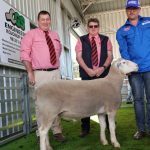 Central Queensland combine harvester sales up as harvest kicks on