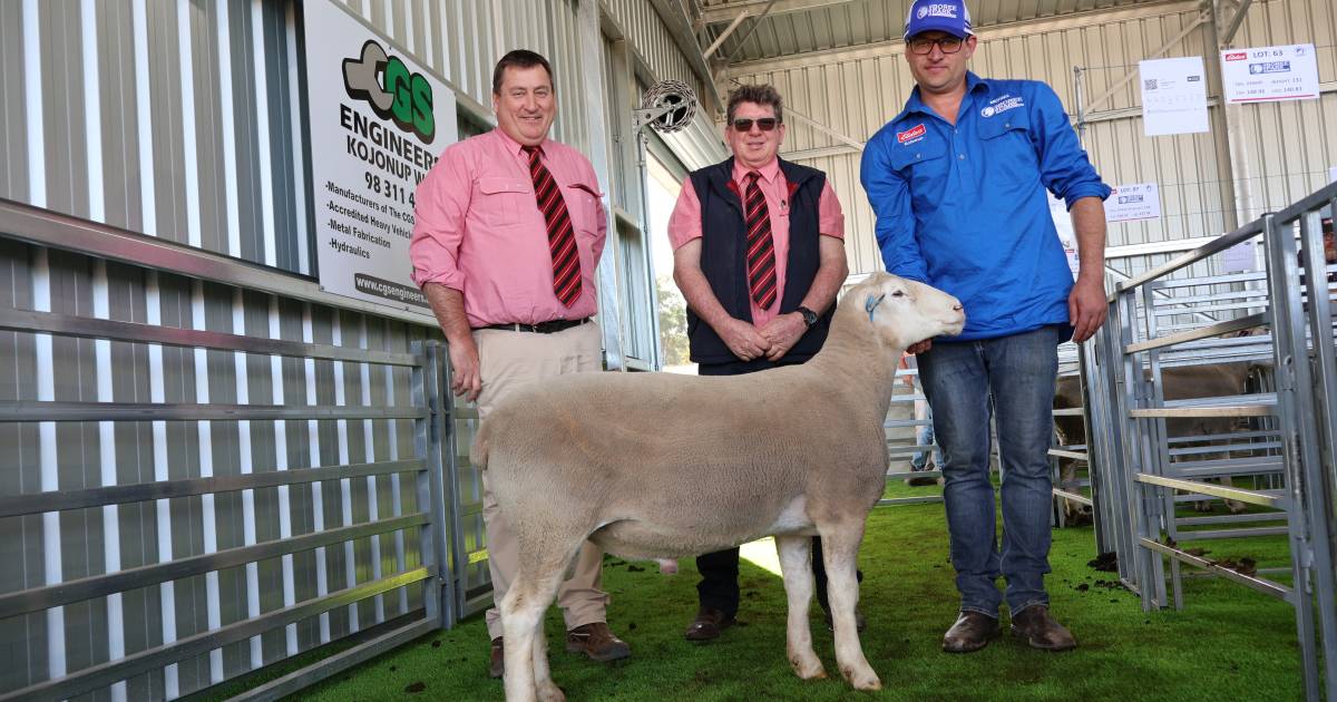 Strong result at inaugural ram sale