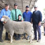 Australian Wool Innovation: Ed Storey could miss out on board position