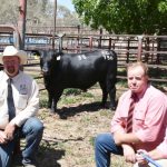 Methane, genetics R&D focus at the Efficient Beef Open Day