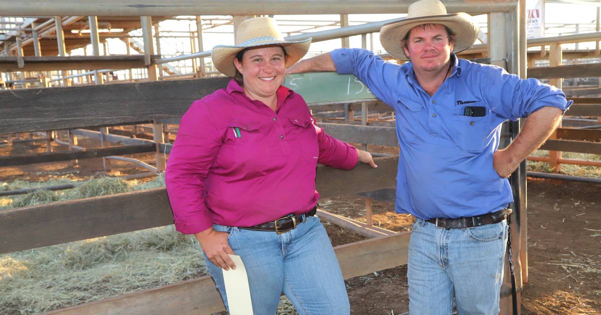 See who was at the Roma Droughtmaster sale meet and greet | Queensland Country Life