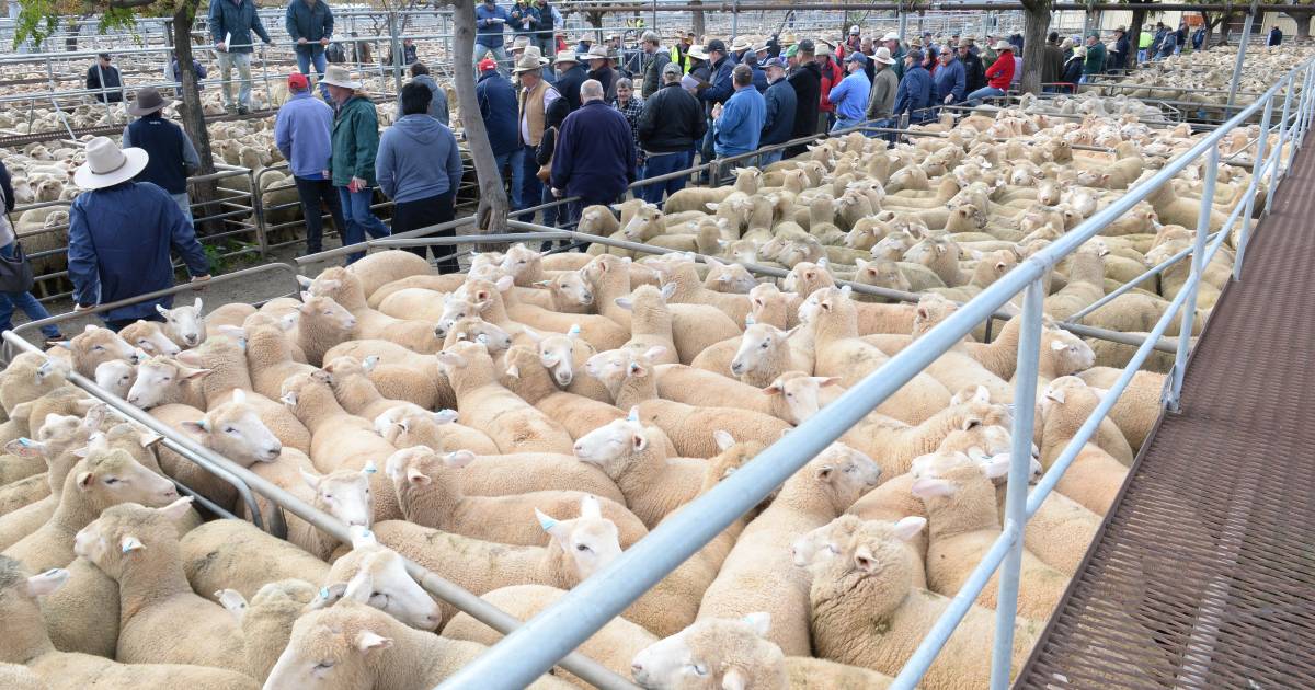 Who has the top cattle and sheep saleyard spots?