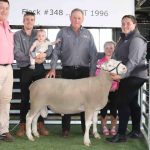 Top vendor averages on day two of Rockhampton Brahman Week Sale