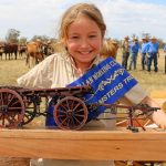 NBPE feedlot steer challenge wraps up at Laurel Hills Feedlot