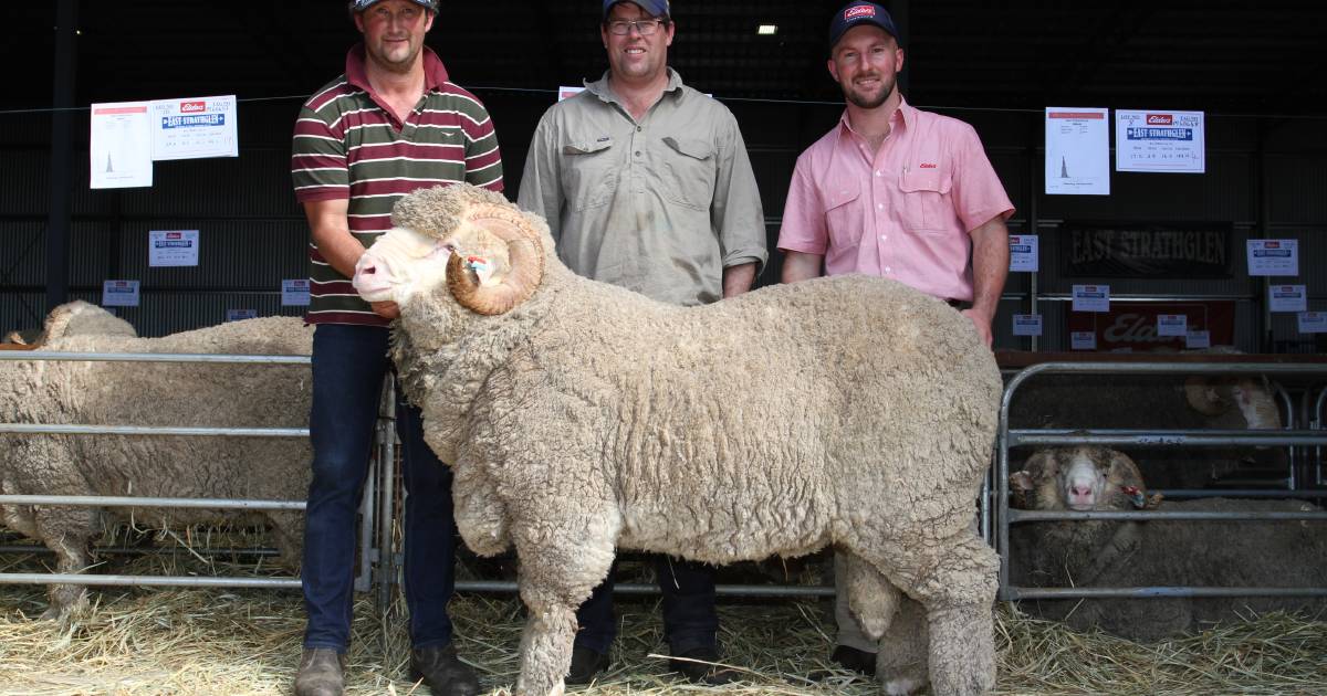 Tambellup stud attains its record highest price