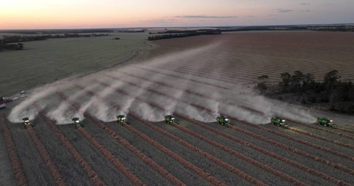 Seven headers harvesting canola on Boolavilla, Croppa Creek | The Land