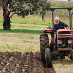 New southern beef processing capacity will add competition, but further test labour resources