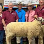 Keddstock heifer tops Great Eastern Brahman Female Sale