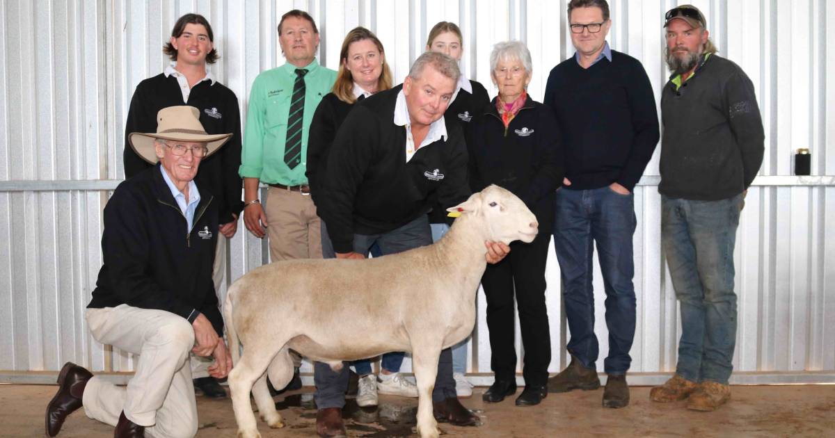 Hillcroft Farms UltraWhite tops $20,500 | Farm Weekly