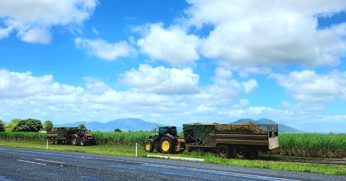 Queensland sugar industry lauds sustainability credentials | North Queensland Register