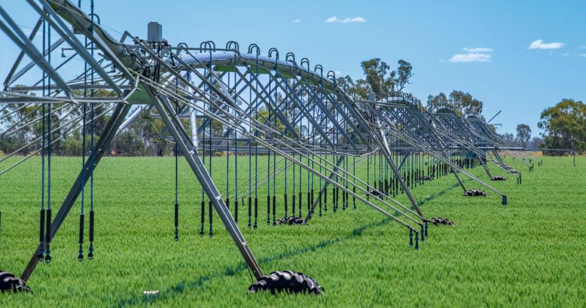 Northern Farmland, Creek Block deliver Darling Downs productivity