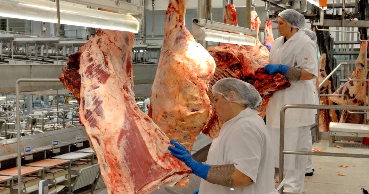 How AI, exoskeletons, and robotics could shape beef processing