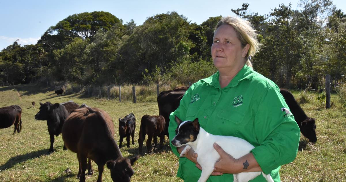 Eungella residents outraged over proposed 5000MW Pioneer-Burdekin pumped hydro dam | North Queensland Register