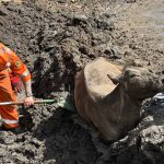 National Merino judging competition goes to NSW | The Land