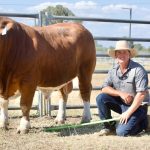 Squiers and Blight family share top gong at Perth Royal Show