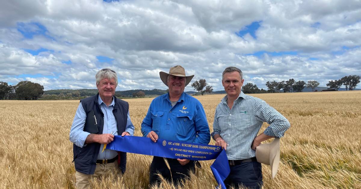 Quarter-century celebration of state wheat competition calls for last minute entries