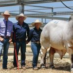 Final year Wagga medical student Kate Hurst honoured for work to boost rural doctors | The Land