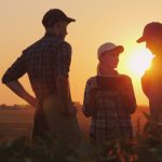 Bushfire battles continue in Queensland