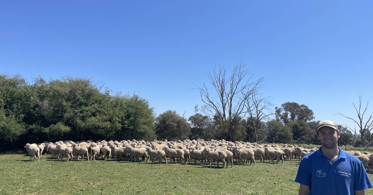 Family backs Merino change