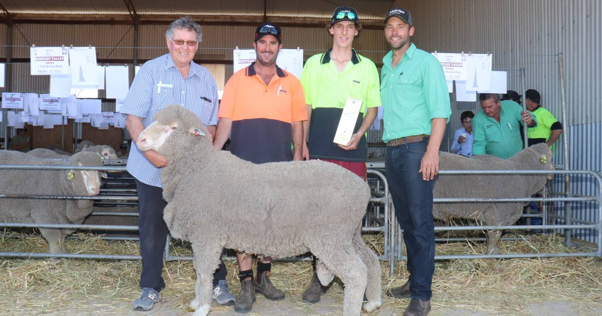 An "exceptional" ram sale in south east