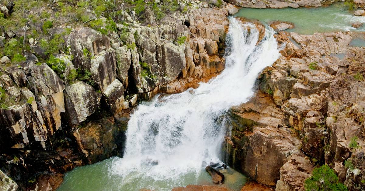 Mount Zero-Taravale Wildlife Sanctuary saves endangered Running River Rainbowfish from extinction | North Queensland Register