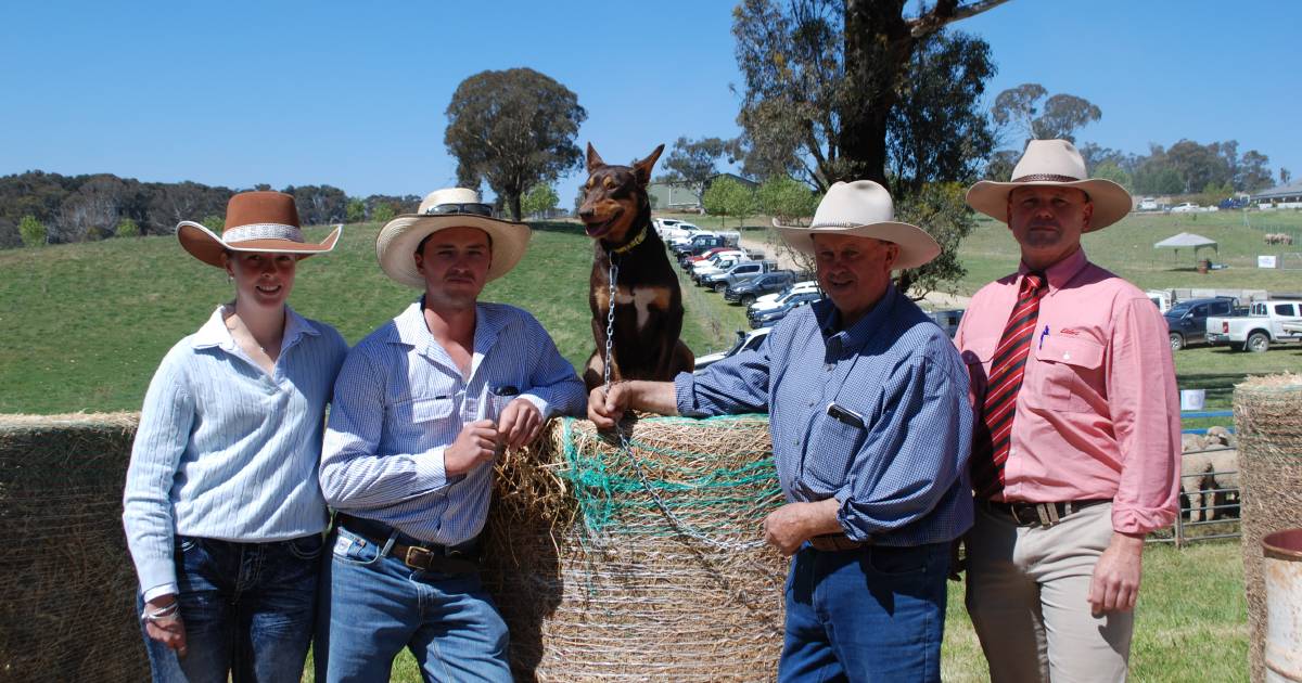 Big crowd at Capree as wool quality and working dogs sought after