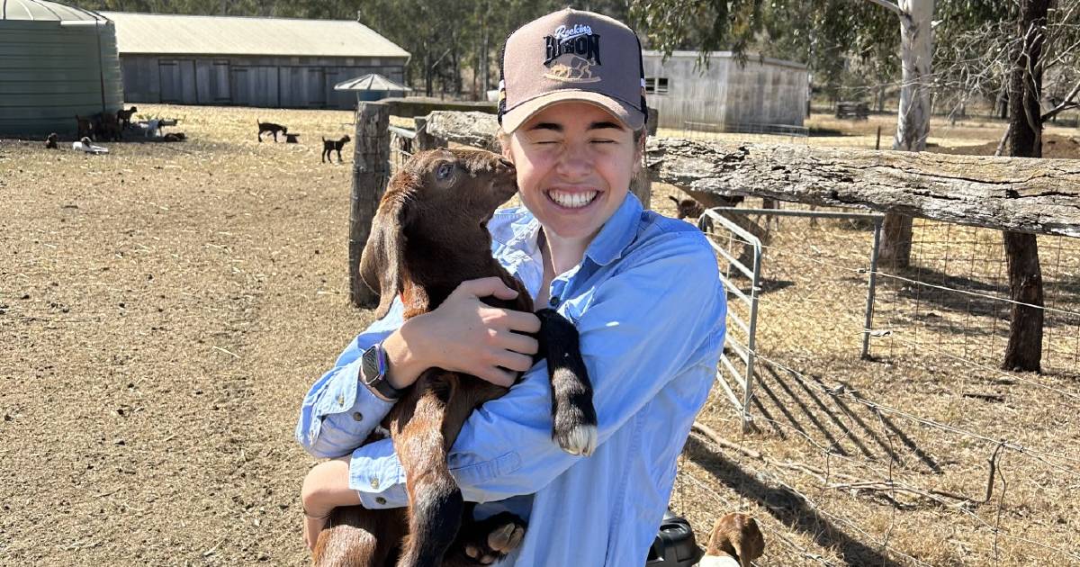 Worm burdens in goats studied by UQ PhD student Kathryn Dawson | Queensland Country Life