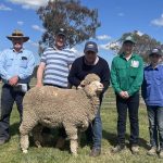 Hiview sire sells to a high of $3000 | Farm Weekly