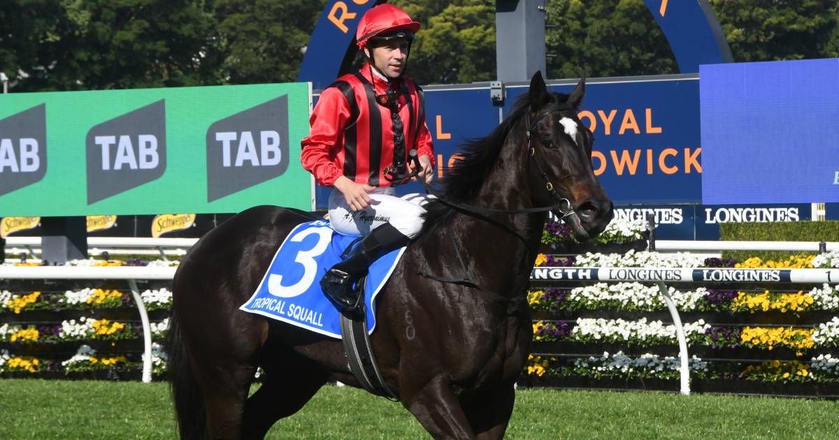 Tropical Squall salutes at Randwick