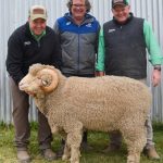 More rams sold than last year's sale