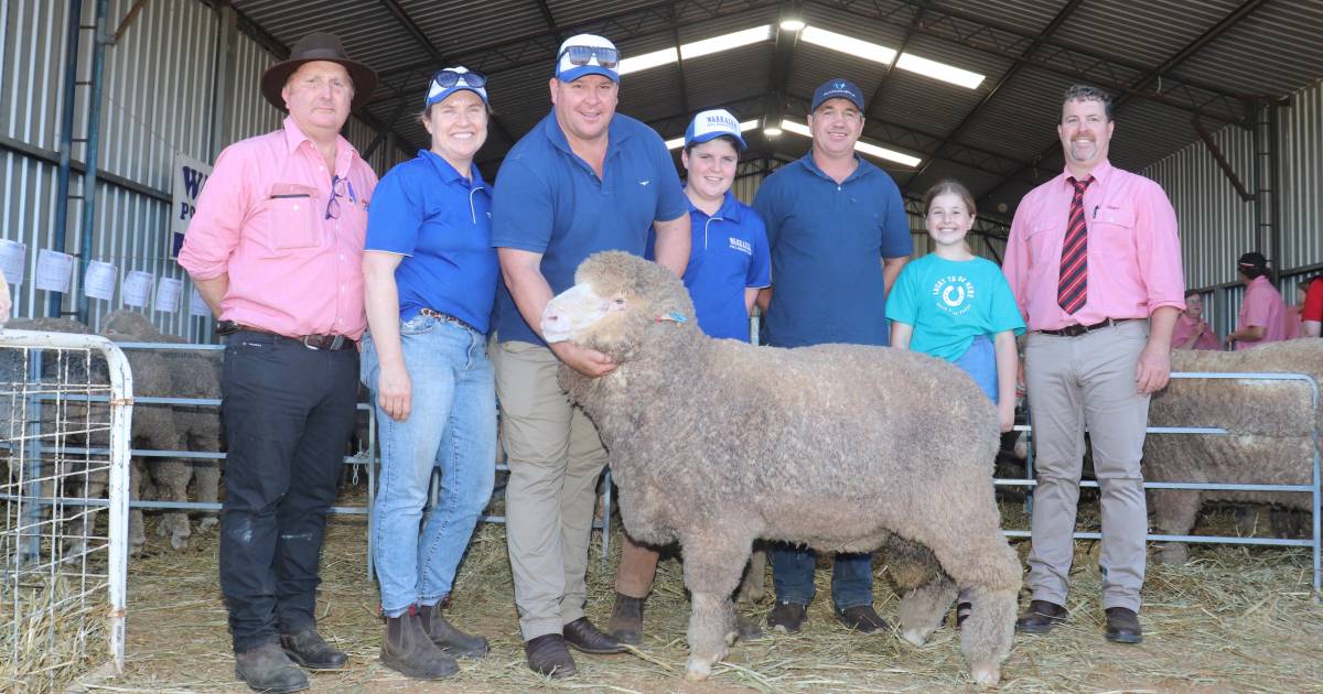 Warralea Poll Merino prices top at $8000 | Farm Weekly