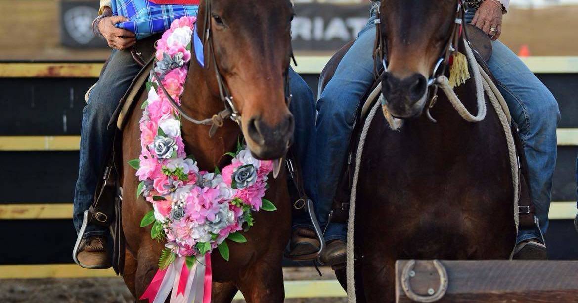 Dallas Daley wins first Muttaburra Ladies draft