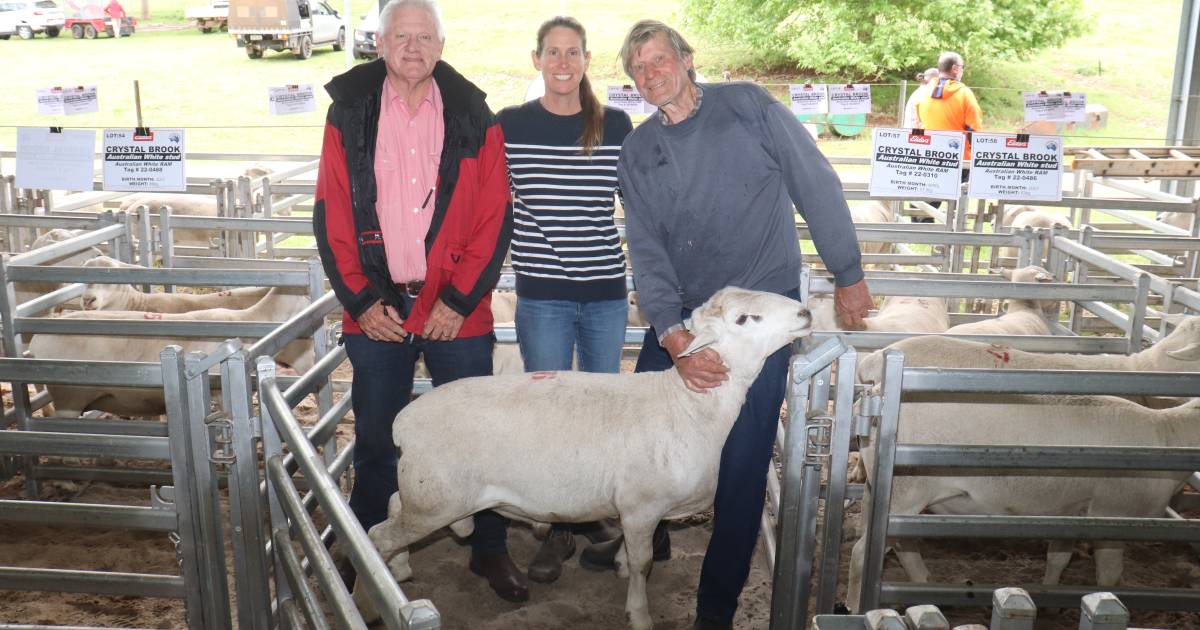 Crystal Brook Australian White tops $1900 at Bridgetown sale | Farm Weekly