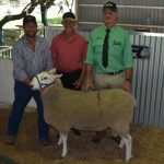 Full clearance at inaugural K.O Angus bull sale at Springsure