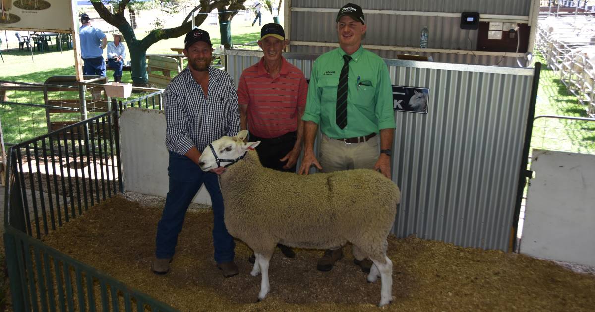 Bauer Retallack sale sees stud secure top ram