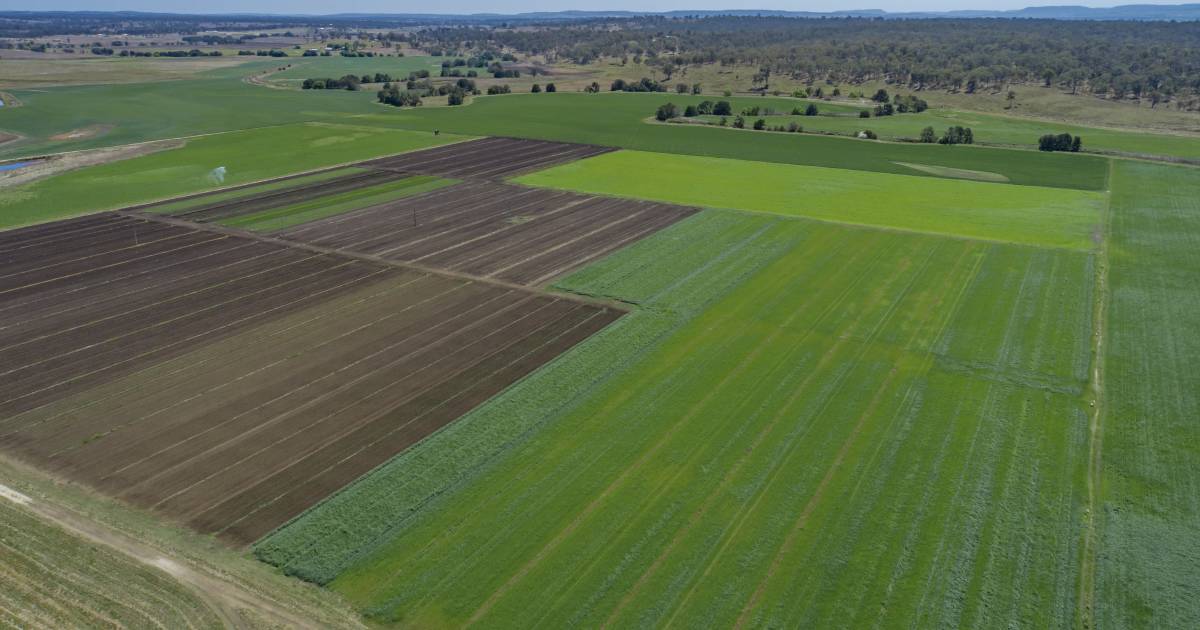 Condamine River property with 1330 megalitres of water | Video