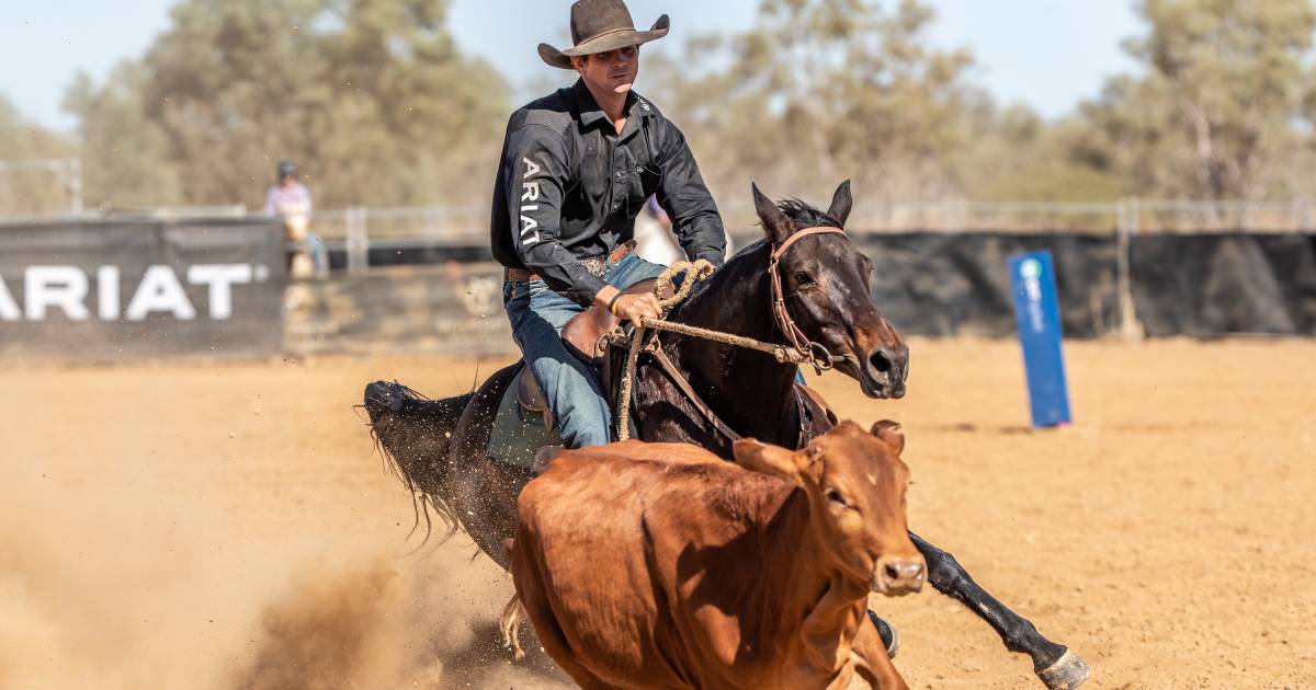 Warwick Gold Cup first round completed | Queensland Country Life