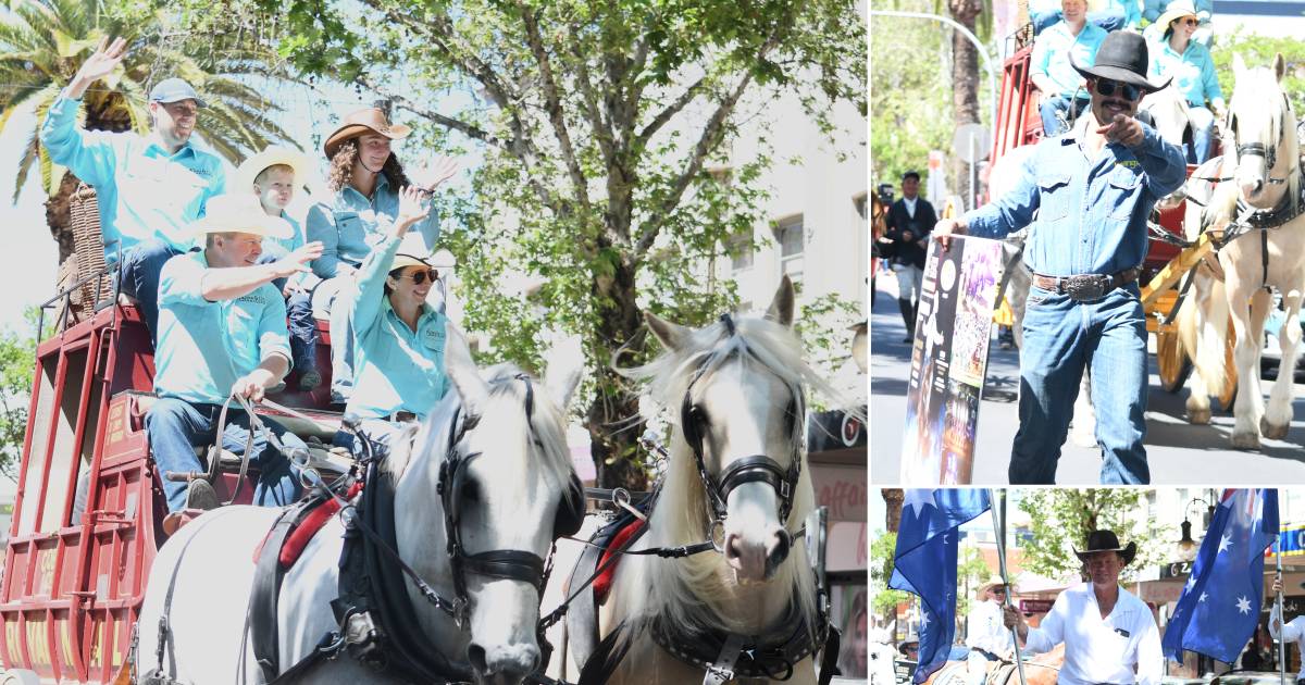 Cobb and Co coach trots through Tamworth's main street