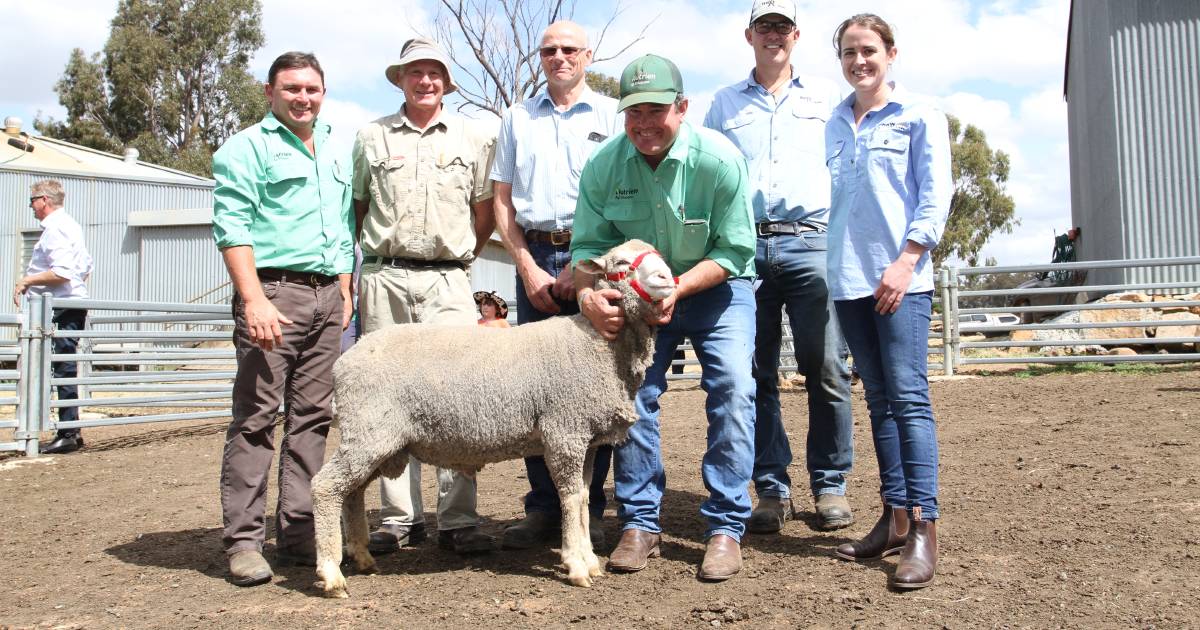 First Merinotech sale peaks at $3600 at Kojonup | Farm Weekly