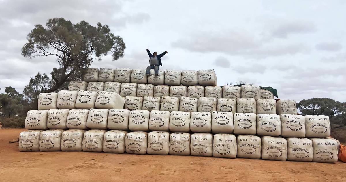 MacLachlan family continue to shape Australia’s agricultural landscape, here’s how | The Land