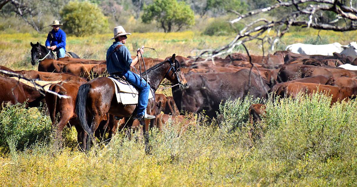 New breed of beef titans take the helm