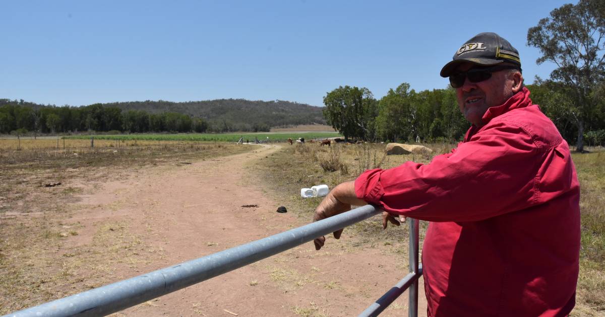 Mackay councillor battles blazes at Koumala homestead